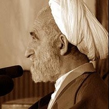 رضا استادی