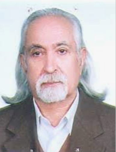 ابراهیم دیباجی